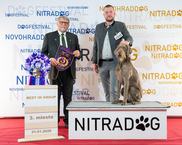 vystava-nitra-stavače1